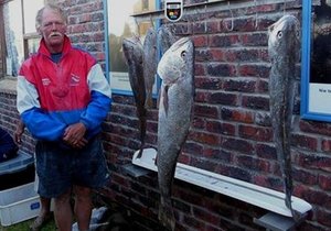 Mooi kabeljou vir Wikkie